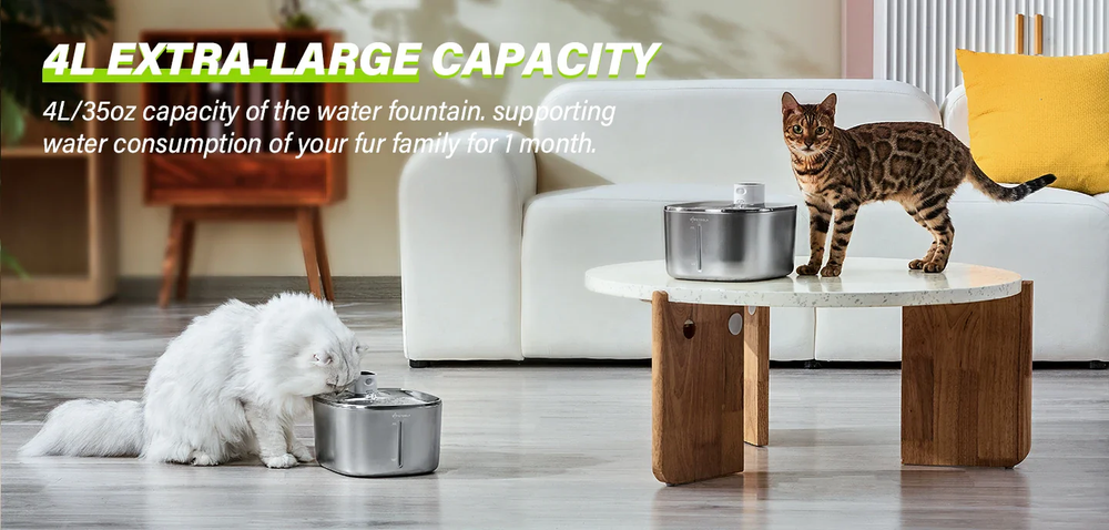 How Proper Hydration Boosts Your Pet's Immune System — And the Role of a Smart Water Fountain