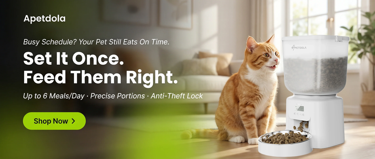Struggling to Feed Your Pet on Time? How a Smart Automatic Feeder with App Control Solves the Problem