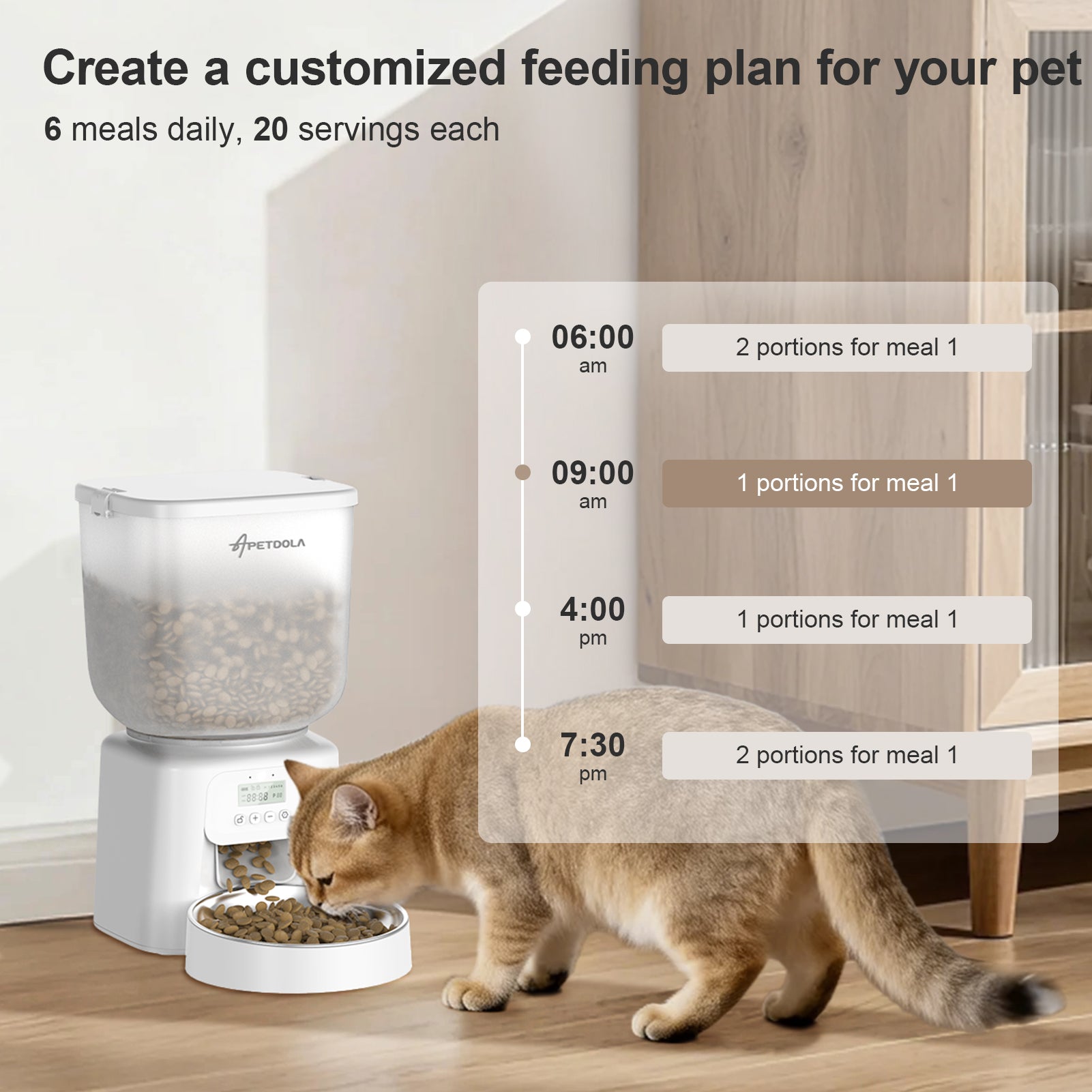 Automatic Cat Feeder