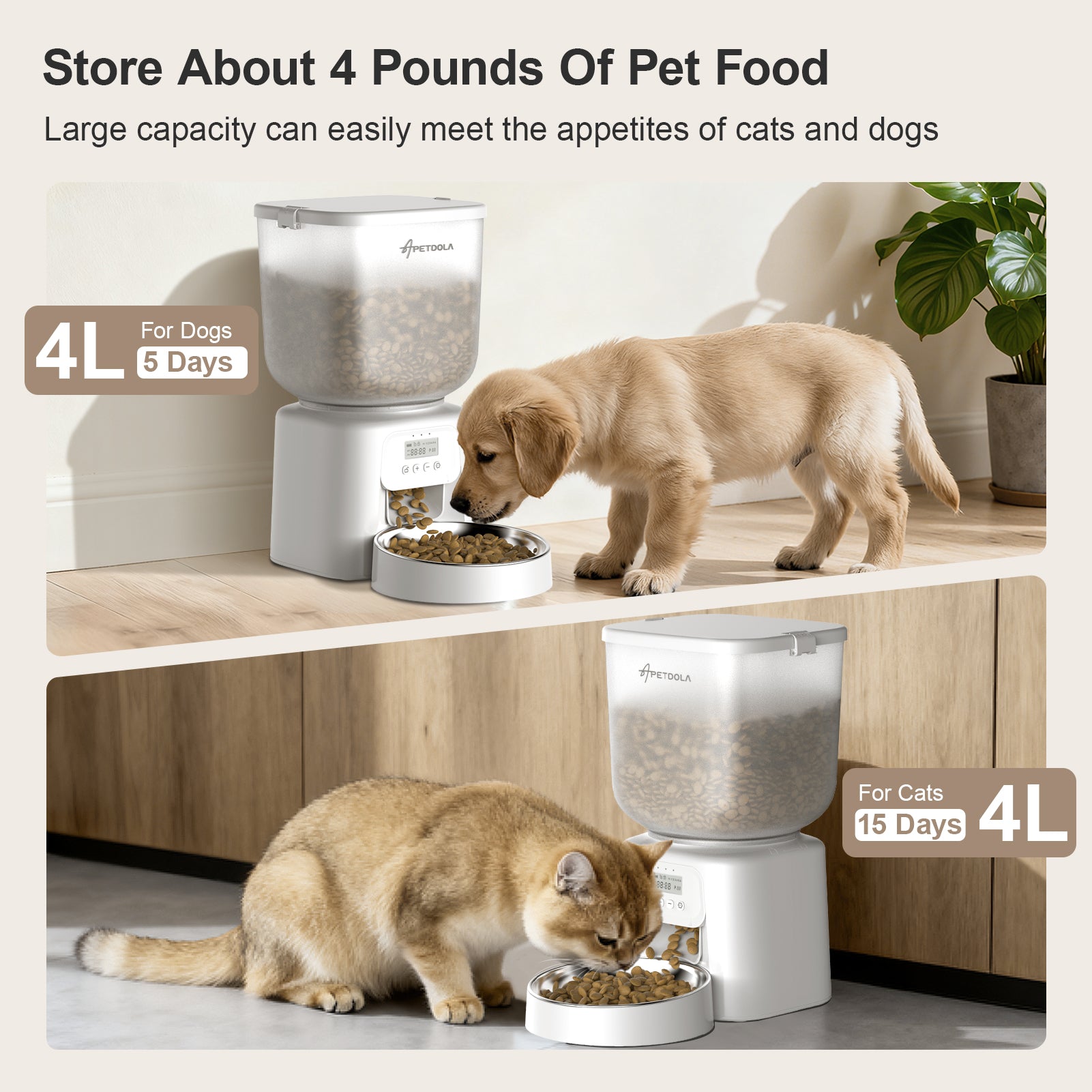 Automatic Cat Feeder