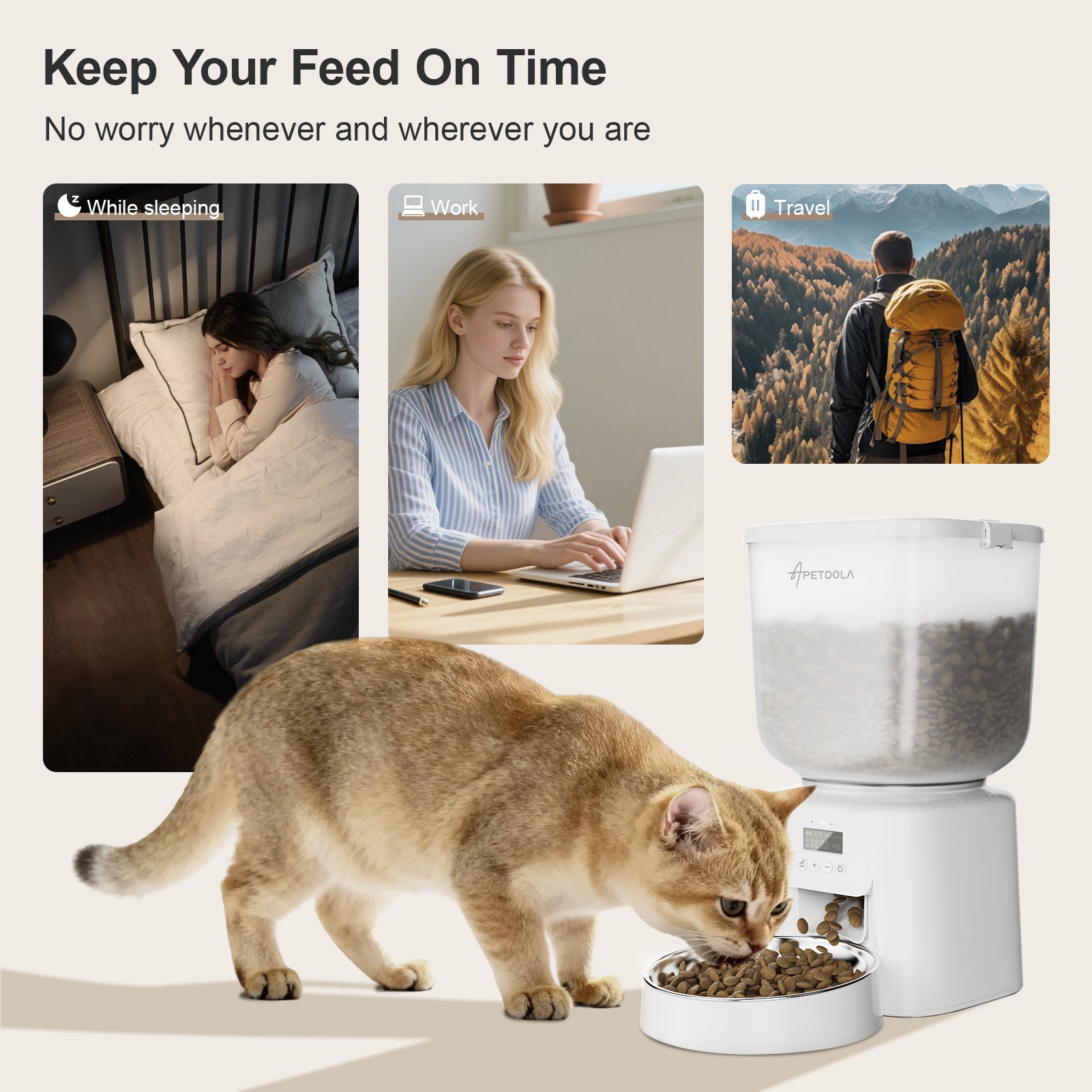 Automatic Cat Feeder
